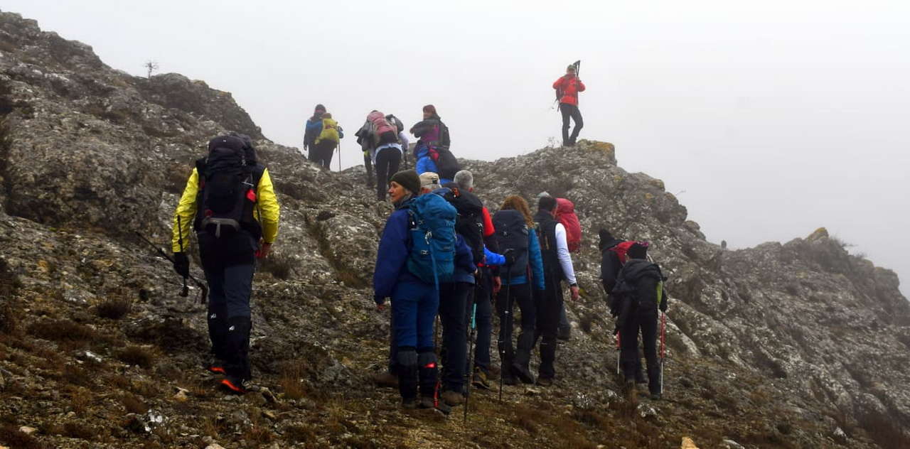 WhatsApp Image 2026-02-09 at 20.29.01